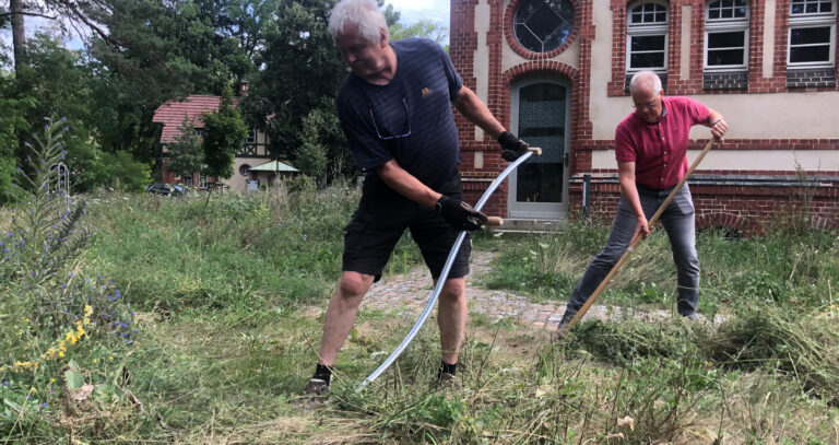 Beelitz bietet Nährboden für innovative Geschäftsmodelle und wilde Pflanzen