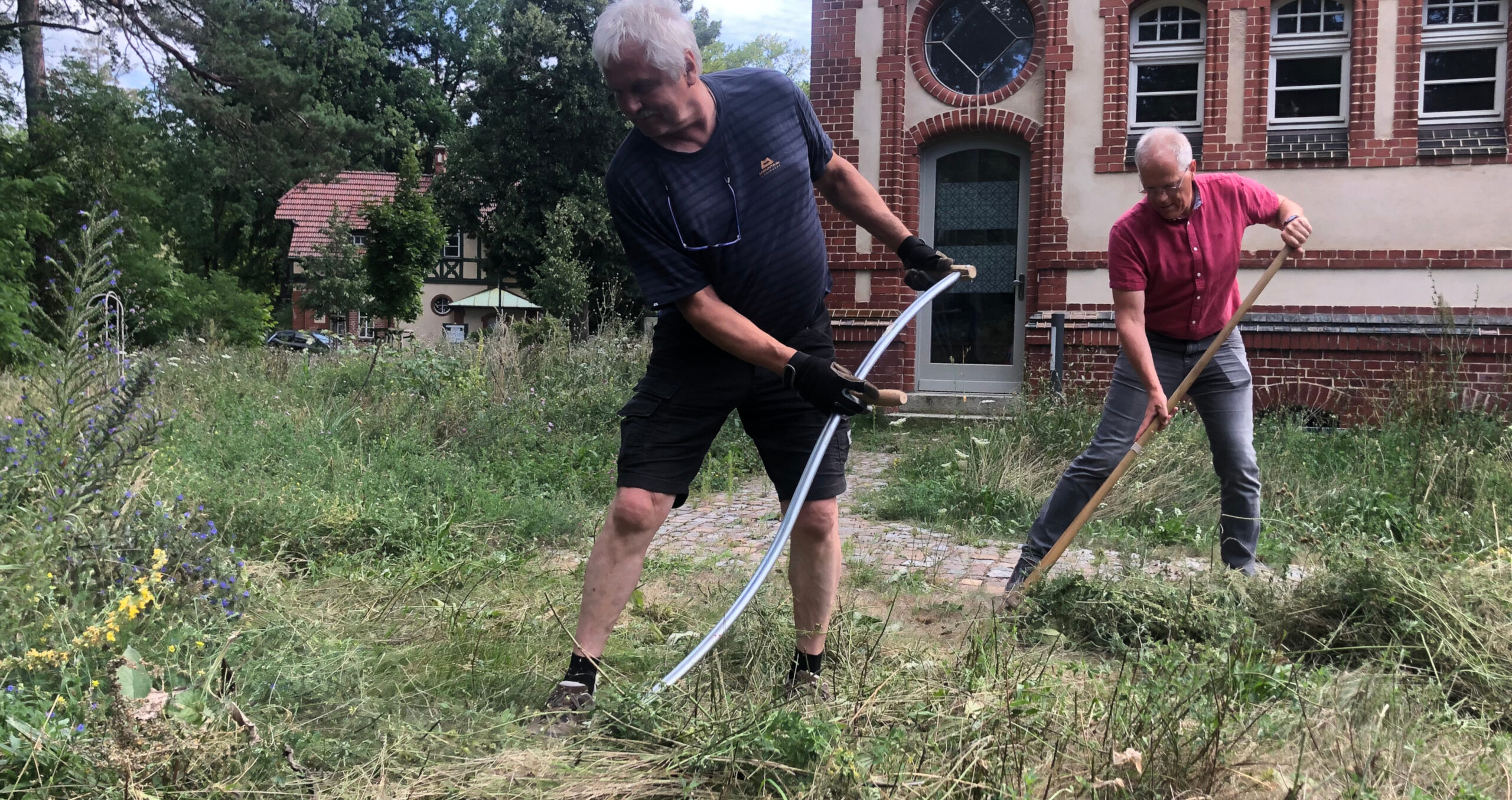 Lutz Pahl und Heiner Klemp bei der Mahd einer Wildpflanzenfläche am Social Impact Lab in Beelitz-Heilstätten.