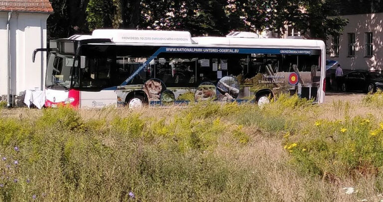 Der erste seiner Art in Europa: Wasserstoffbus fährt auf Nationalpark-Buslinie