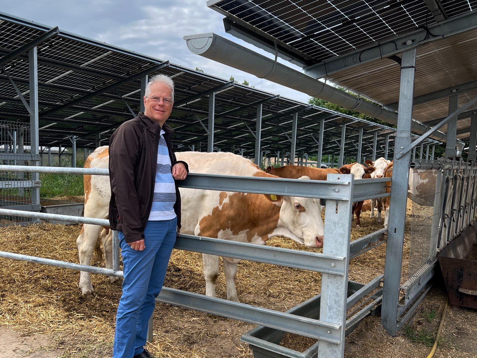 Nur eine der vielen Nutzungsmöglichkeiten für Agri-PV: Als Dach für Nutztiere