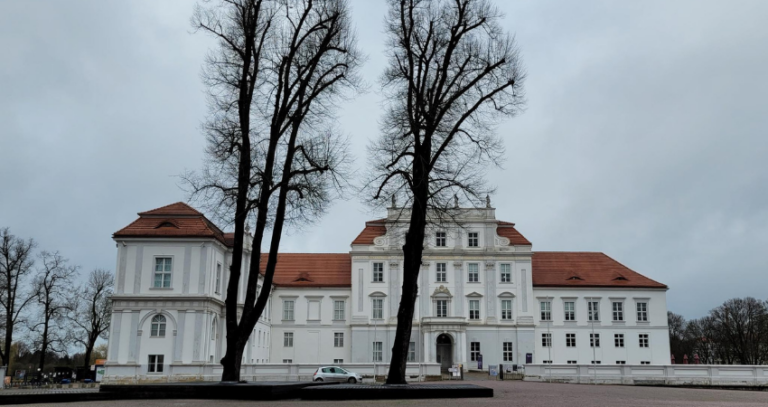 Gute Aussichten für Bäume auf dem Schlossplatz